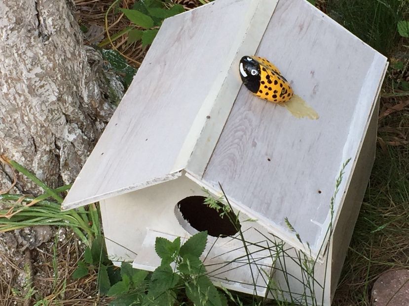 df891307-07b5-49c3-b04e-1988ab7a4489 - Decor ptr gradină facute de mine