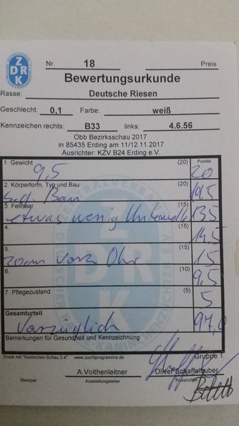 Fem.1 cu 9.5kg  97 de Puncte - Aa 06 2018 URIAS GERMAN ALB si Albastru
