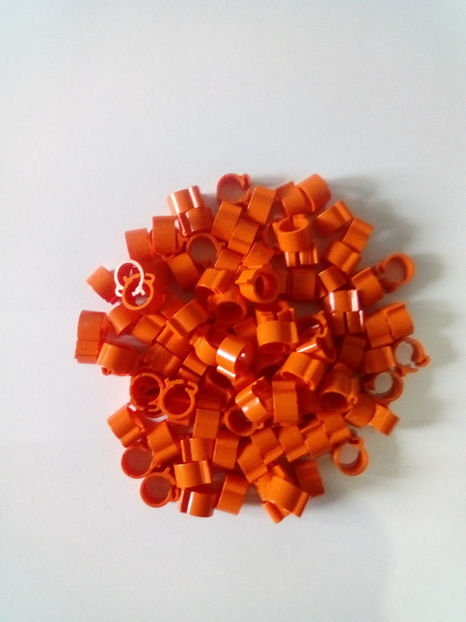 9 - 1-CLEME LATE 50 buc-10 lei