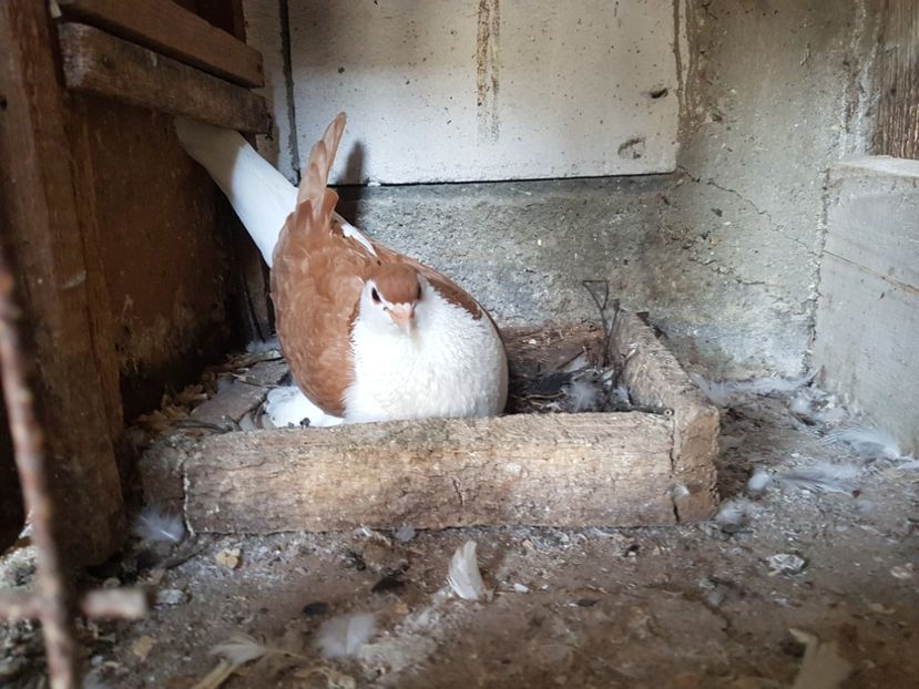 20180606_184501[1] - Lahore