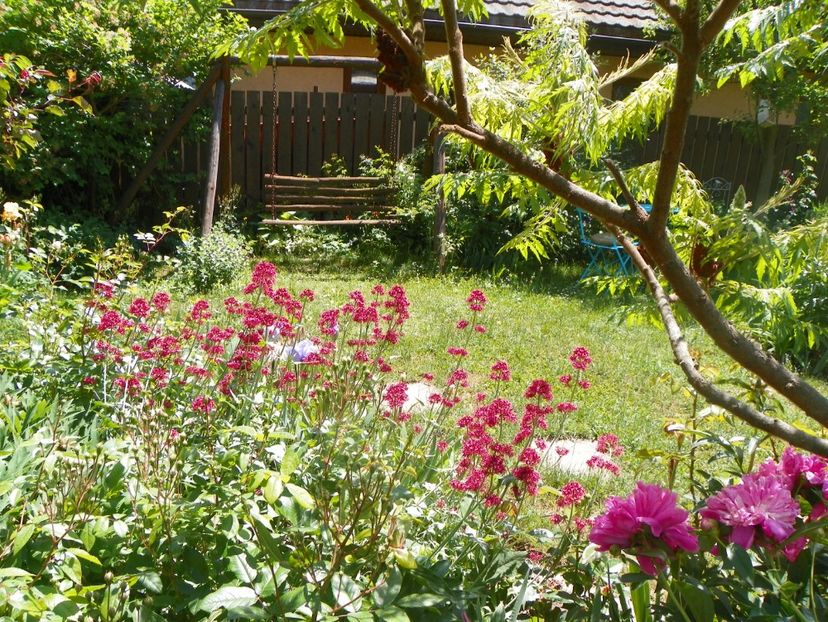 24 mai (59) - Gradina 2018