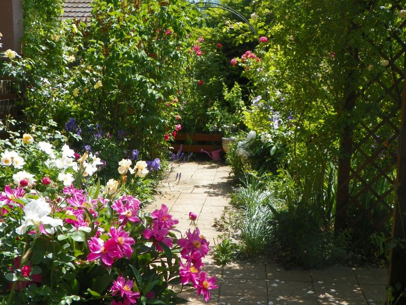 24 mai (192) - Gradina 2018