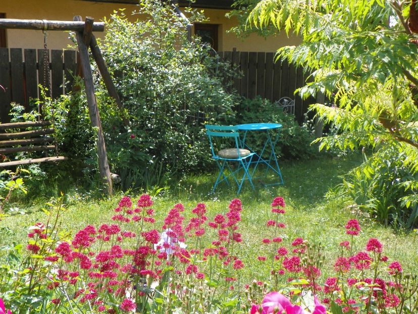 24 mai (209) - Gradina 2018