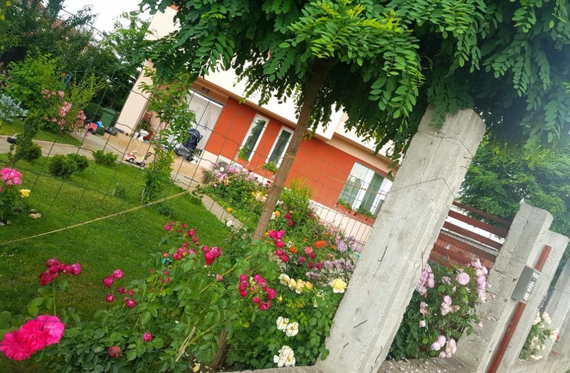  - Red Eden Erik Tabarly