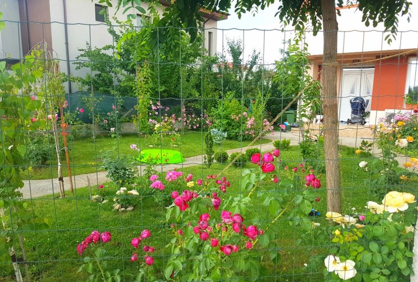  - Red Eden Erik Tabarly