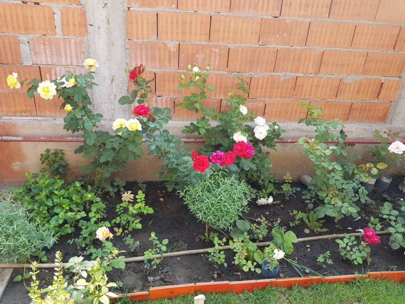 Zona inca in lucru - Diverse