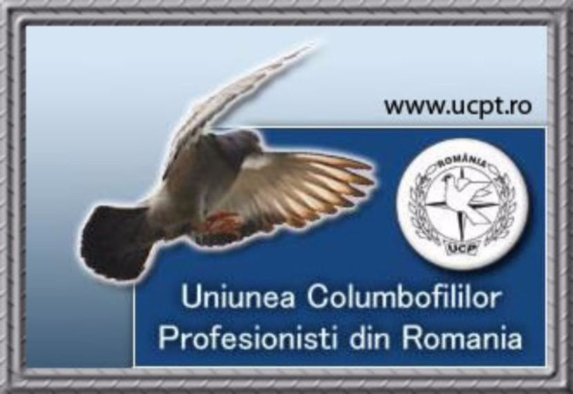 Uniune Columbofililor Profesionisti Din România - RO - UCPR