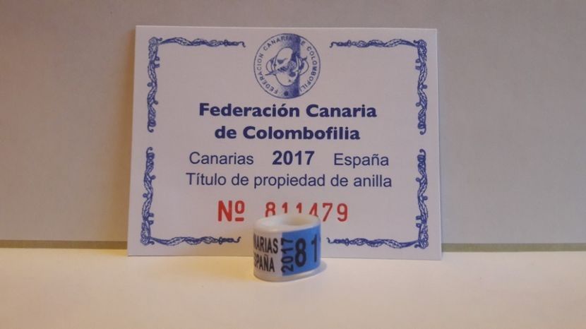 ESPANA 2018 CANARIAS CIP - ESP - CANARIA