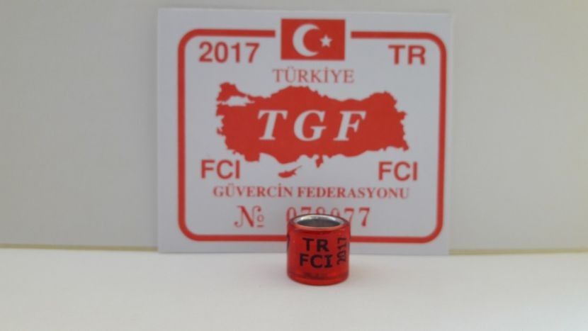 TR 2017 TGF FCI - TURCIA - TR