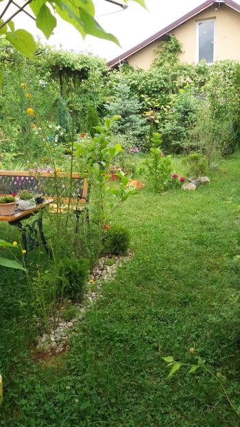 anul 2018 086 - Gradina 2018