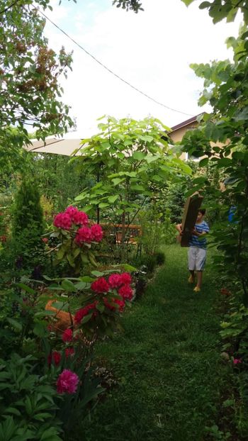 anul 2018 100 - Gradina 2018