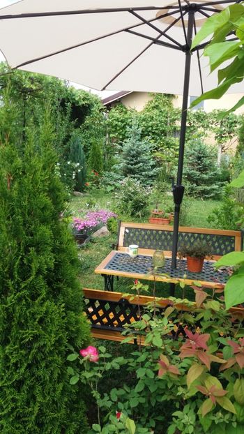 anul 2018 200 - Gradina 2018