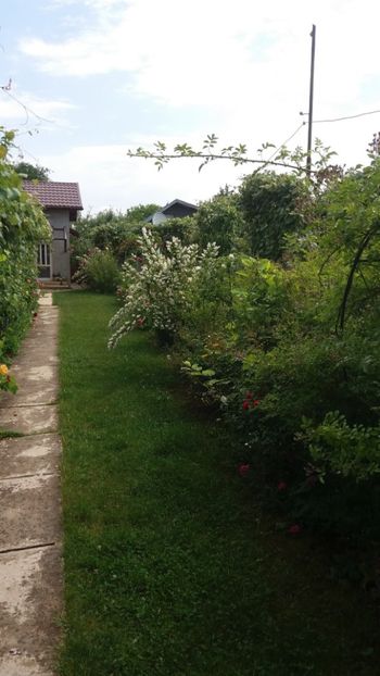 anul 2018 512 - Gradina 2018
