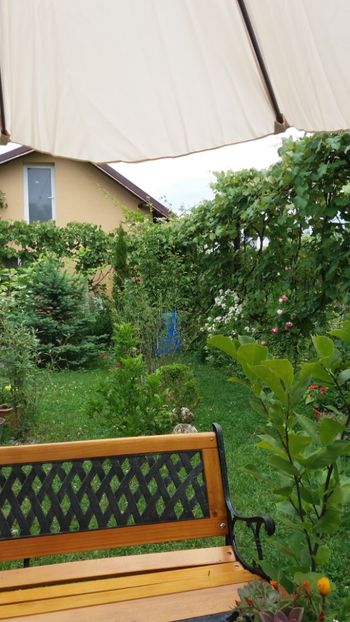 anul 2018 659 - Gradina 2018