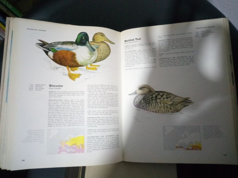 O lucrare remarcabilă - L1 - Literatura - ornitologie