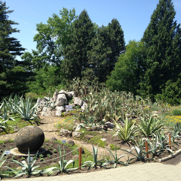  - Gradina Botanica Iasi