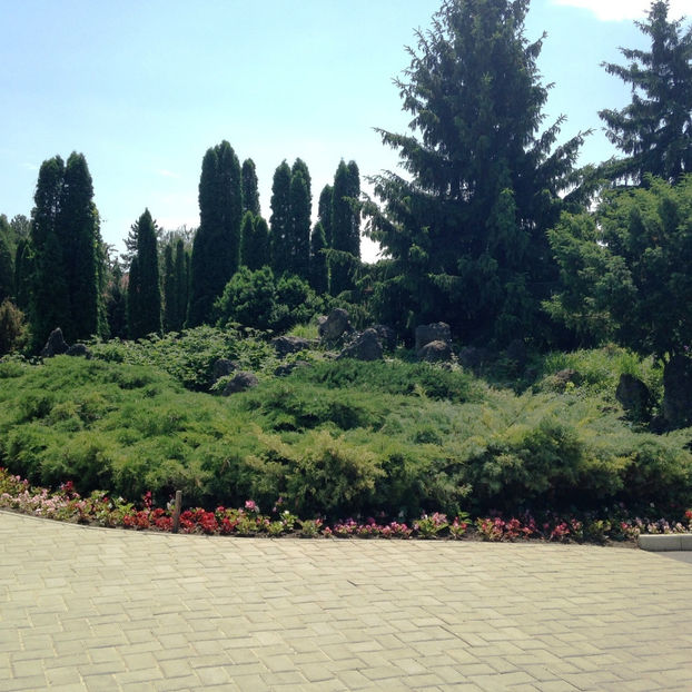  - Gradina Botanica Iasi