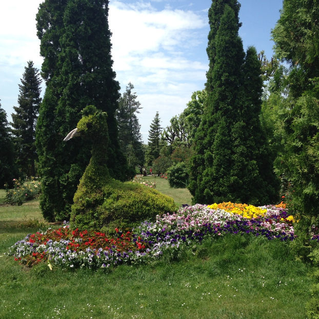  - Gradina Botanica Iasi