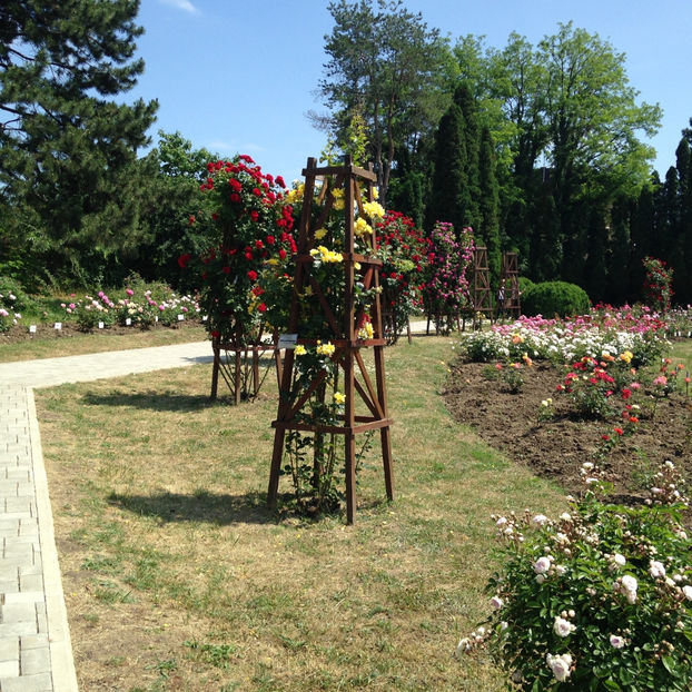  - Gradina Botanica Iasi