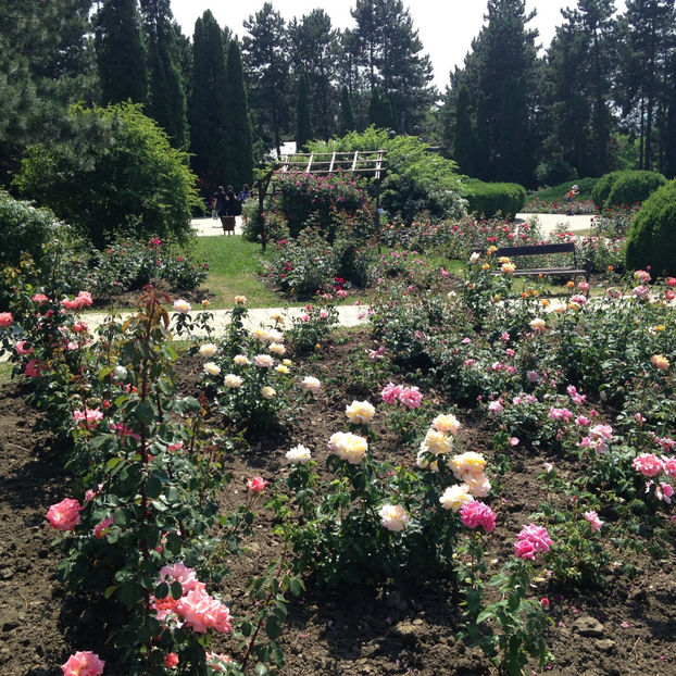  - Gradina Botanica Iasi