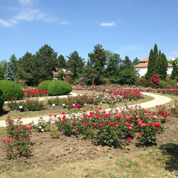  - Gradina Botanica Iasi