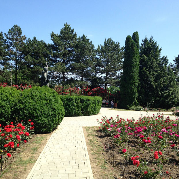  - Gradina Botanica Iasi