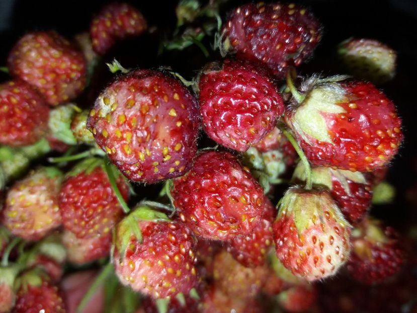  - La țară iunie 2018