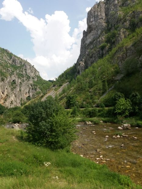  - La țară iunie 2018