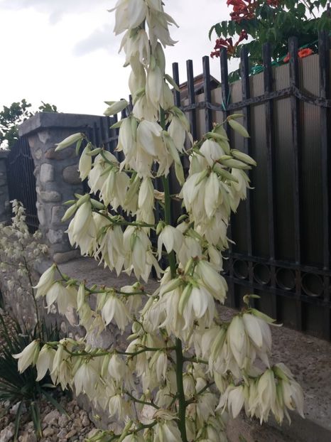  - La țară iunie 2018