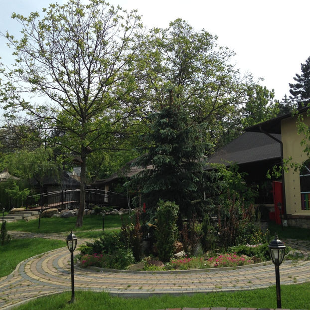  - Suceava