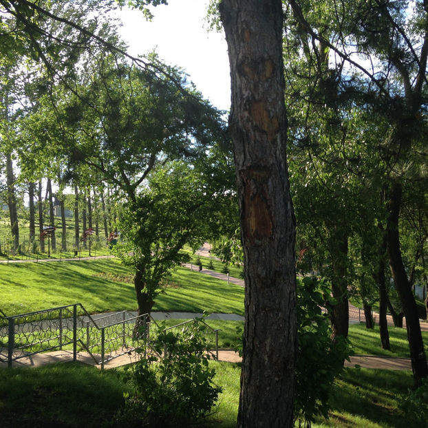  - Suceava