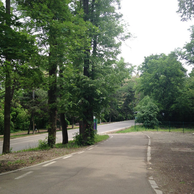  - Suceava