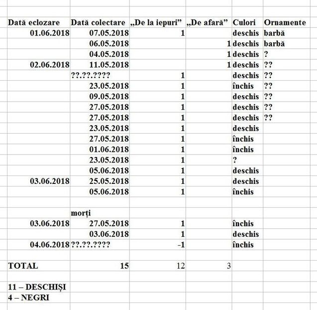 Bilanț - I - LOCANTA I - INCUMB SA INCUBEZ