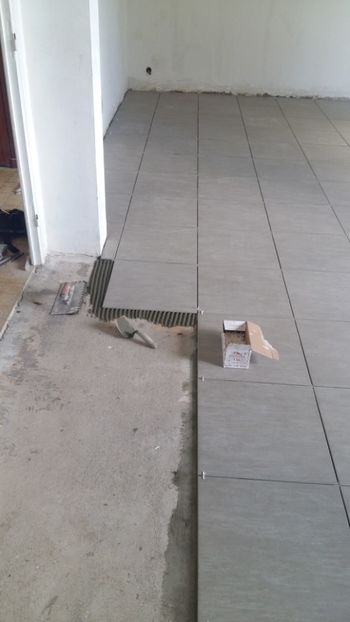  - Lucrari in Lyon 2018