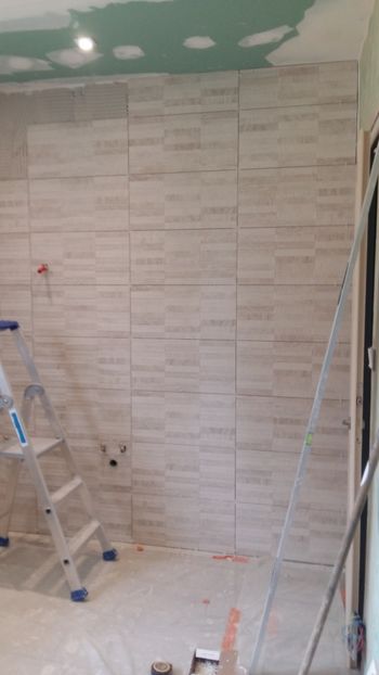  - Lucrari in Lyon 2018