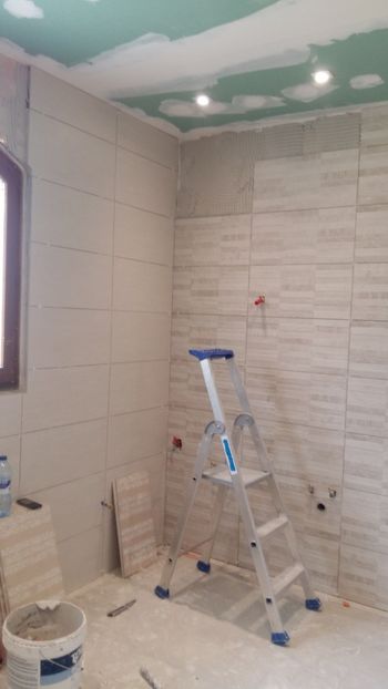  - Lucrari in Lyon 2018