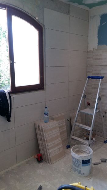  - Lucrari in Lyon 2018