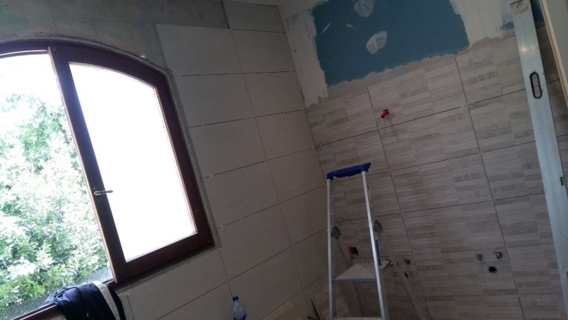  - Lucrari in Lyon 2018