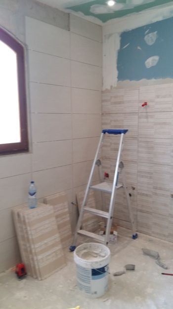  - Lucrari in Lyon 2018