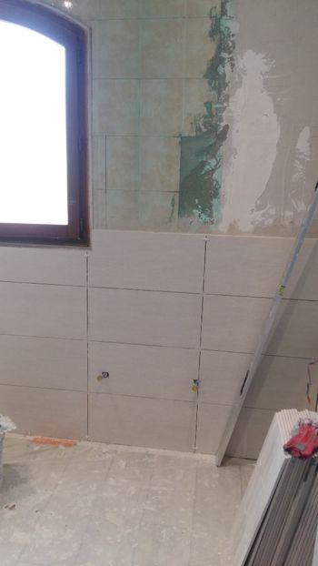  - Lucrari in Lyon 2018