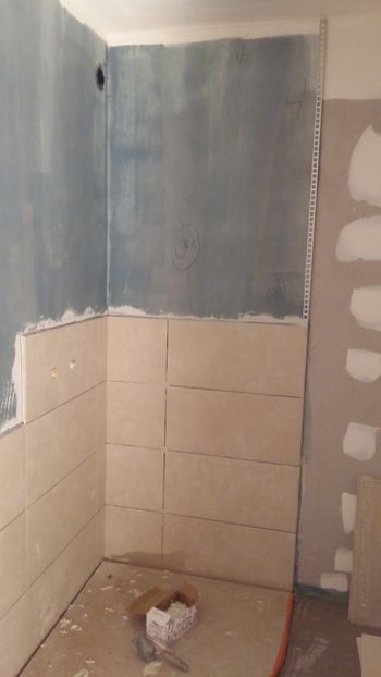  - Lucrari in Lyon 2018