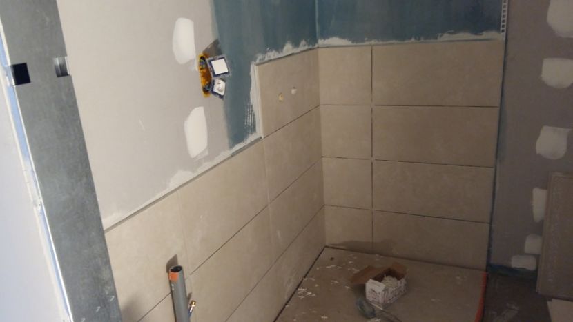  - Lucrari in Lyon 2018