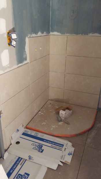  - Lucrari in Lyon 2018