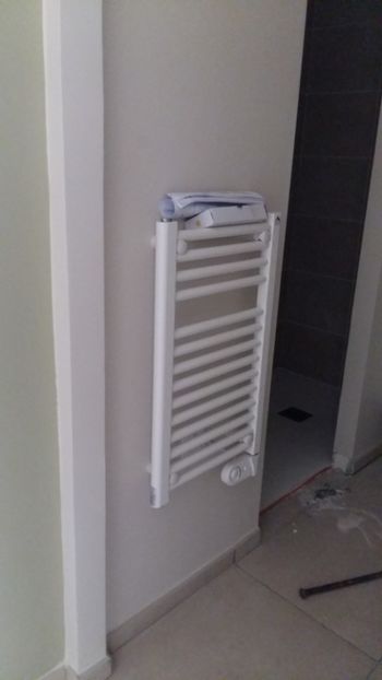  - Lucrari in Lyon 2018