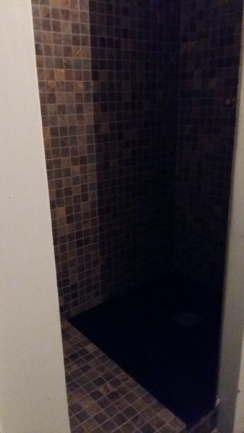  - Lucrari in Lyon 2018