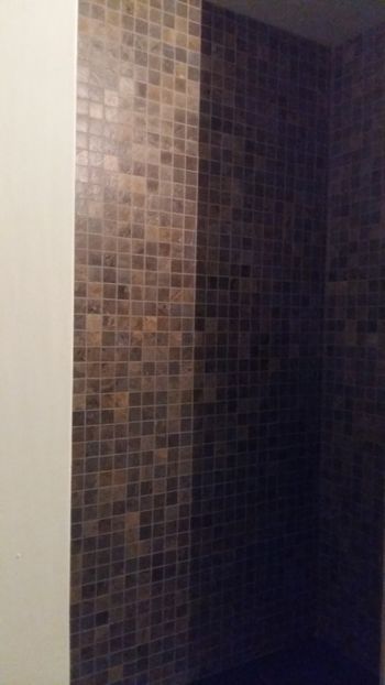  - Lucrari in Lyon 2018