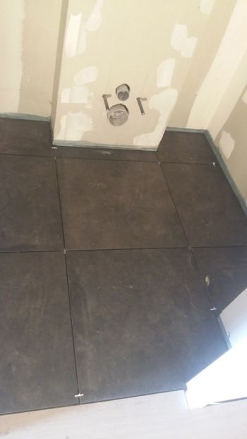  - Lucrari in Lyon 2018