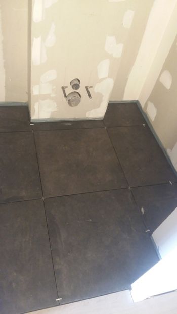  - Lucrari in Lyon 2018