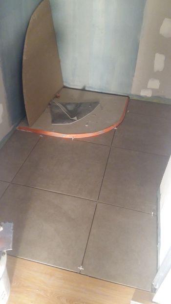  - Lucrari in Lyon 2018