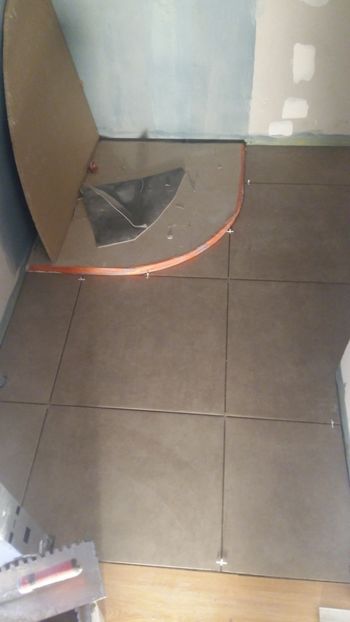  - Lucrari in Lyon 2018